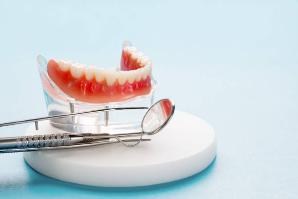 Trusted Bayville, NY  Holistic Dental Services Experts